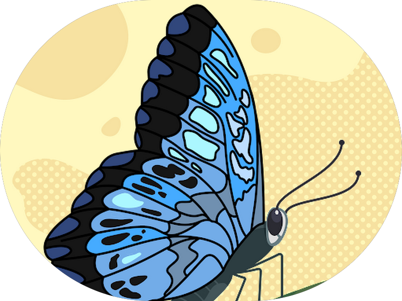 Foto 3 de Beckhauser Odontologia