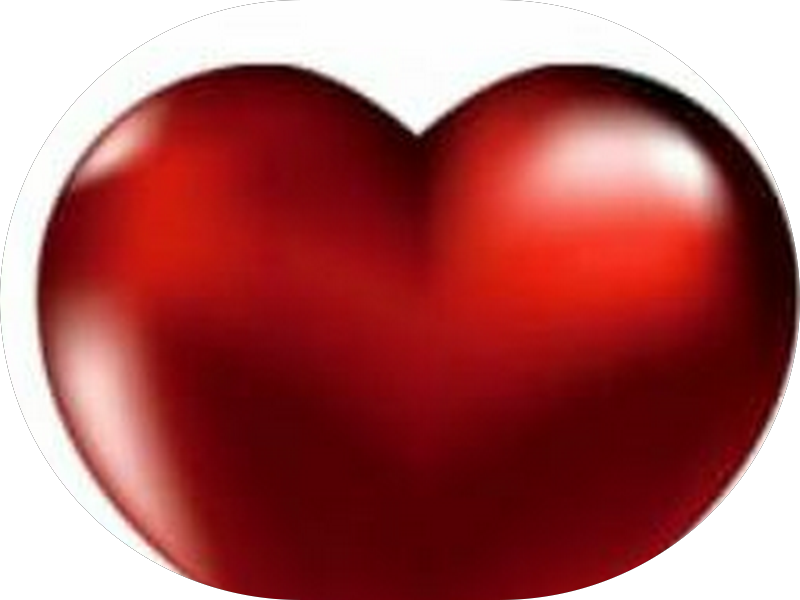 Foto 3 de Bee Essential Oral Odontologia