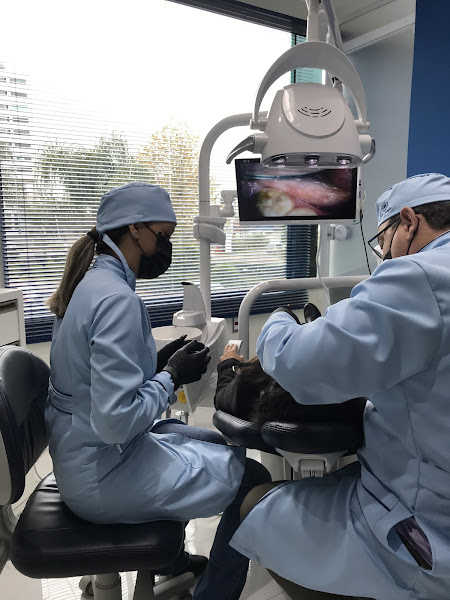 Foto 2 de Bella Imagem Odontologia e Estética