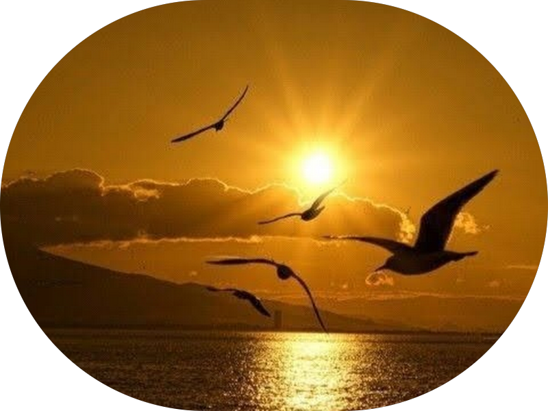 Foto 6 de Beltrán Odonto