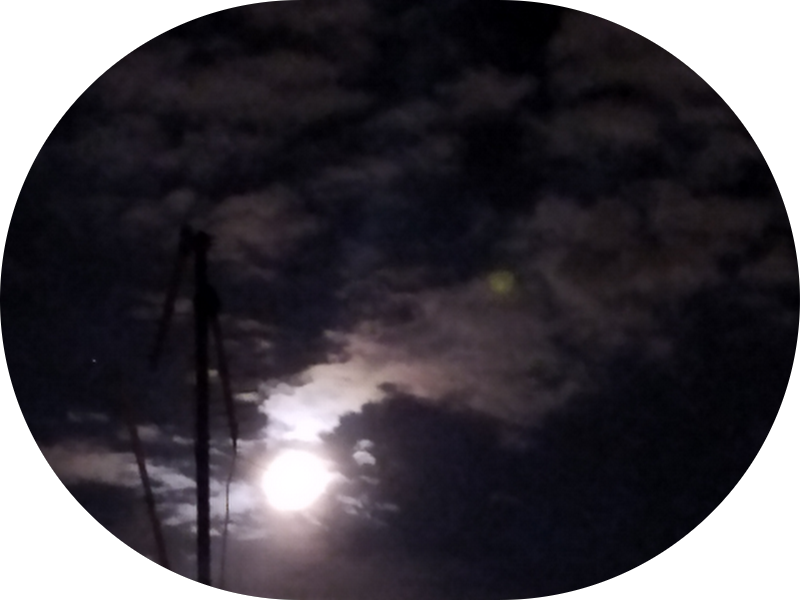 Foto 4 de Bem Sorrir Odontologia