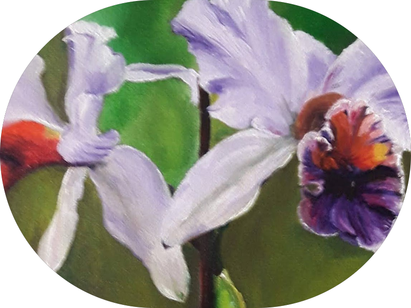 Foto 5 de Benatti Odontologia