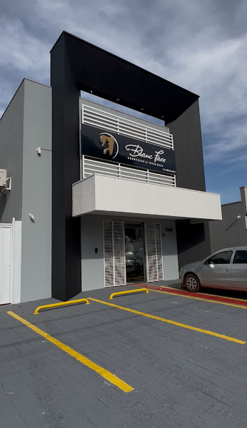 Foto 4 de Blanc Face Odontologia