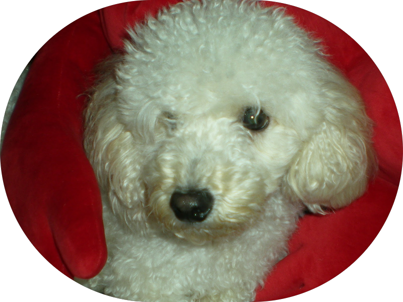 Foto 3 de Blanc Odontologia De Excelência