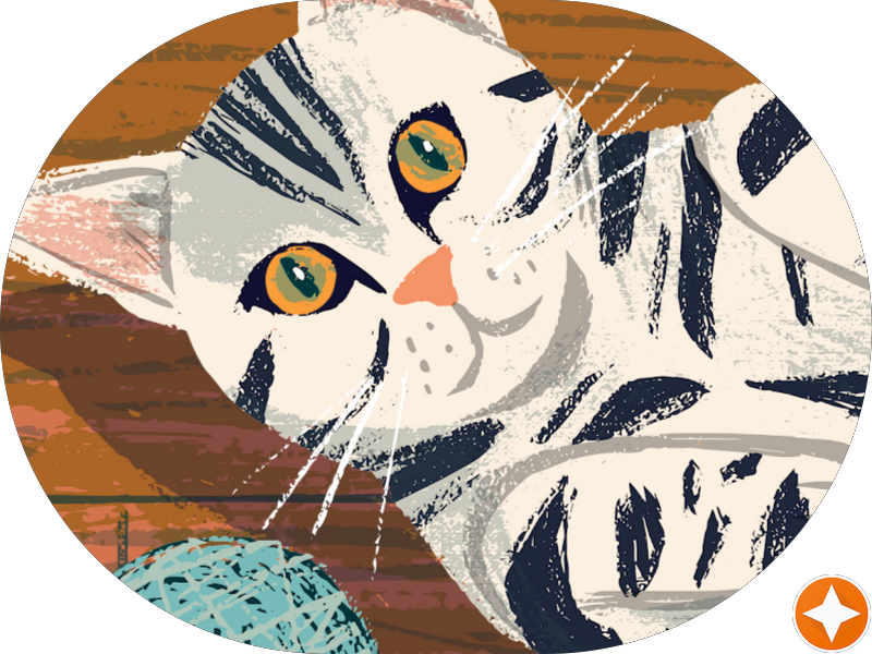 Foto 5 de Blanca Odontologia