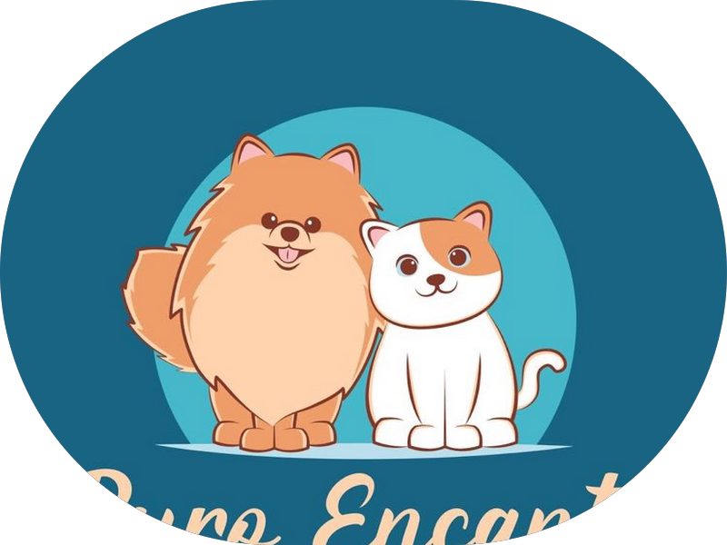 Foto 4 de Boff Odontologia