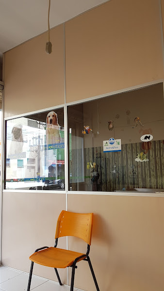 Foto 2 de Bom Retiro dos Animais