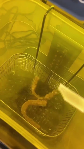 Foto 4 de Bonassi Odontologia Integrada | Clínica Odontológica no Itaim Bibi