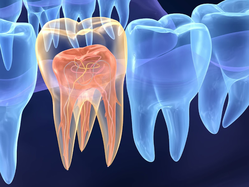 Foto 3 de Borges, Cláudio R G N