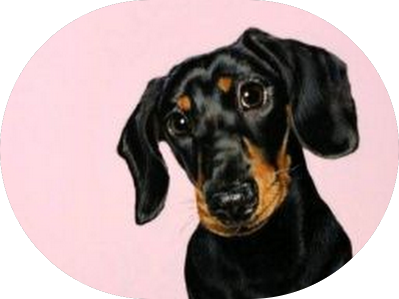 Foto 5 de Bosque Odontologia Especializada