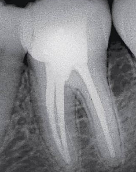 Foto 3 de Botrel Odontologia