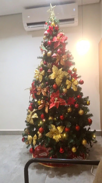 Foto 4 de Braga Odontologia