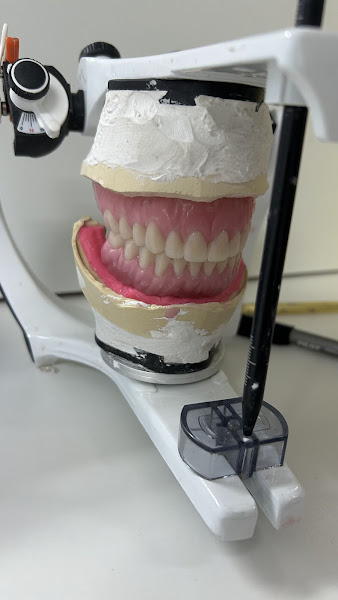 Foto 3 de Bruna Ferreira Odontologia