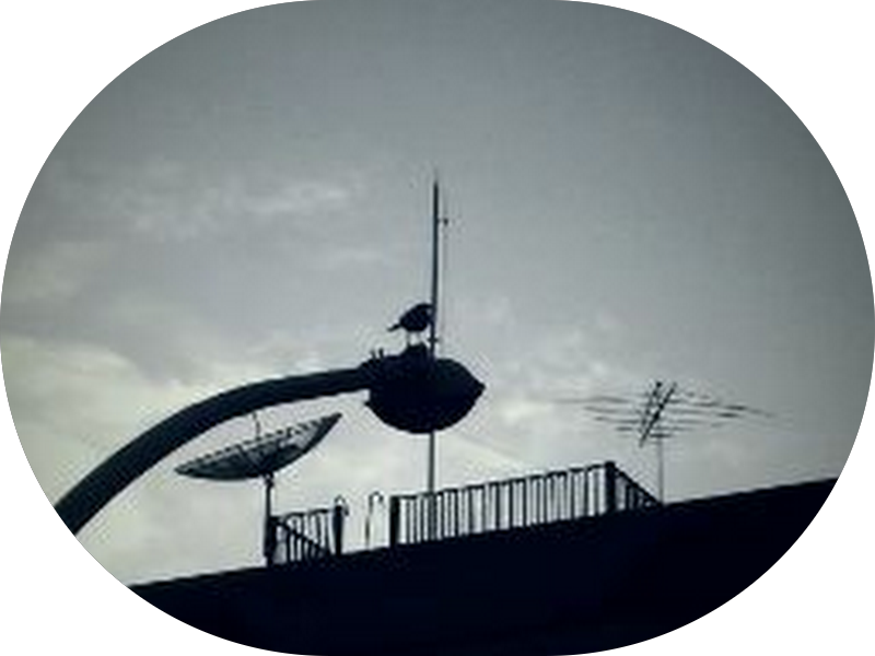 Foto 5 de Bruno Amaral Odontologia