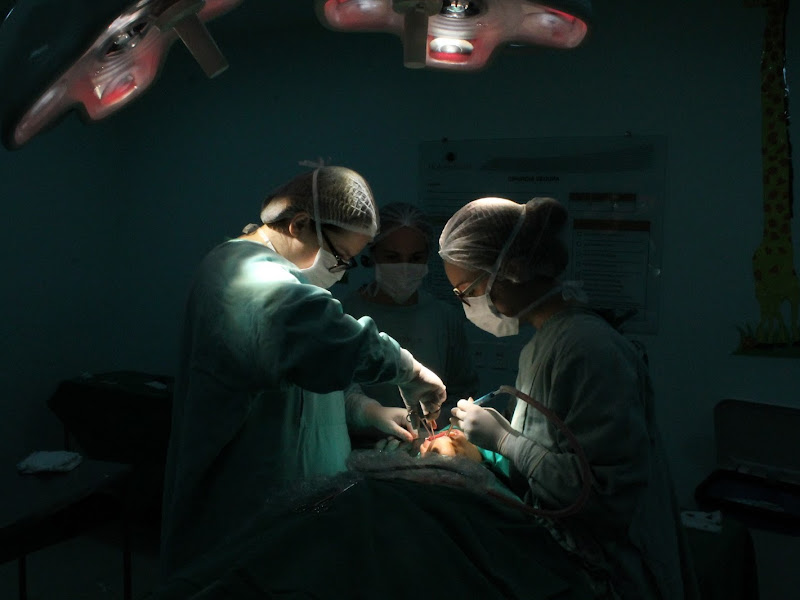 Foto 3 de Bucomaxilo Curitiba - Cybelle Prado