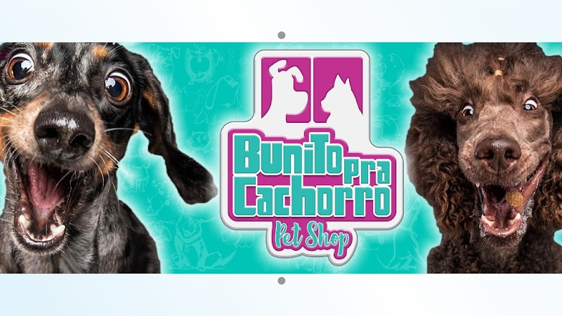 Foto 2 de Bunito Pra Cachorro Petshop