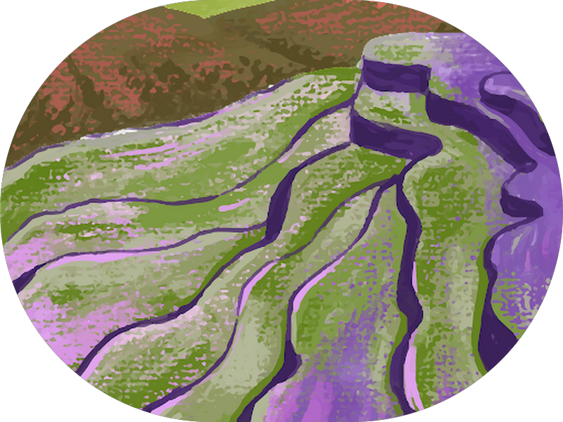 Foto 5 de Buriti Odontologia