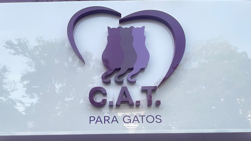 Foto 2 de C. A. T. para Gatos