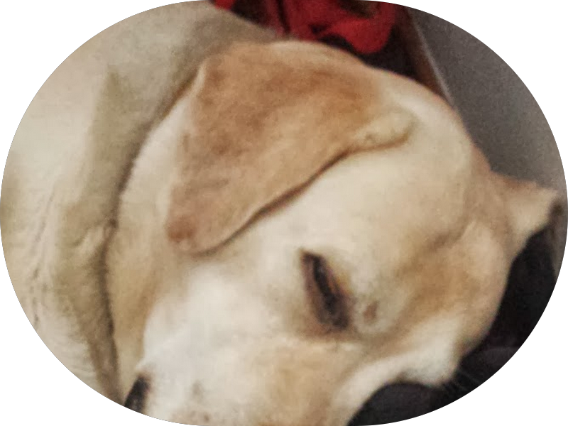 Foto 6 de C3 Odontologia - Catete