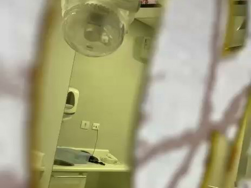 Foto 3 de Campos Odontologia - Unidade Av. Ellis Maas