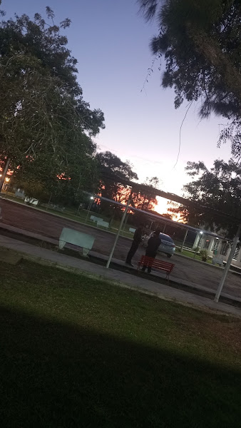 Foto 3 de Campus da Saúde UCPel