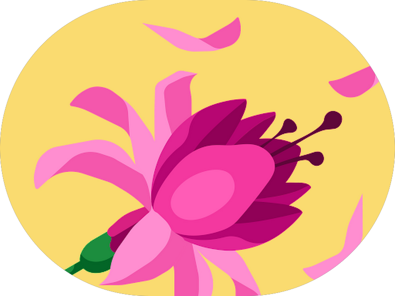 Foto 3 de CAPS AD II Cachoeirinha