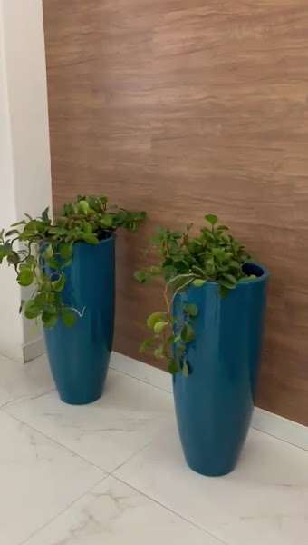 Foto 3 de Carla Guimarães Ortodontia