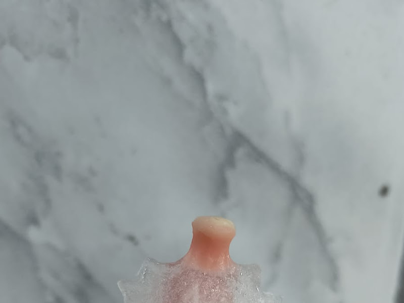 Foto 2 de Carlos Protético