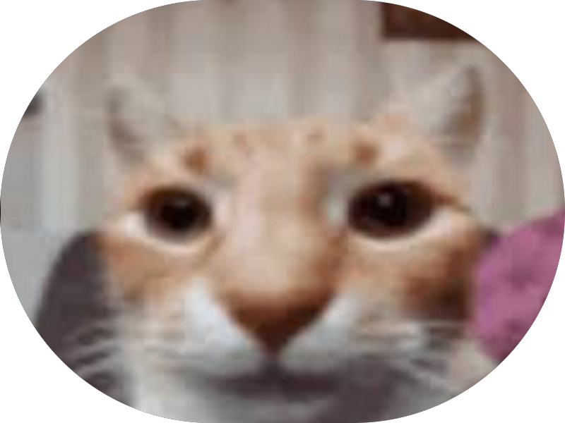 Foto 4 de Caroline Camargo Odontologia