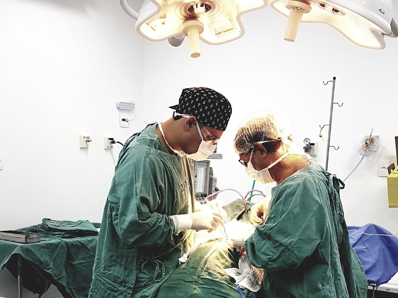 Foto 8 de Carvalho Odontologia