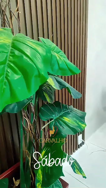 Foto 3 de Carvalho odontologia e estética