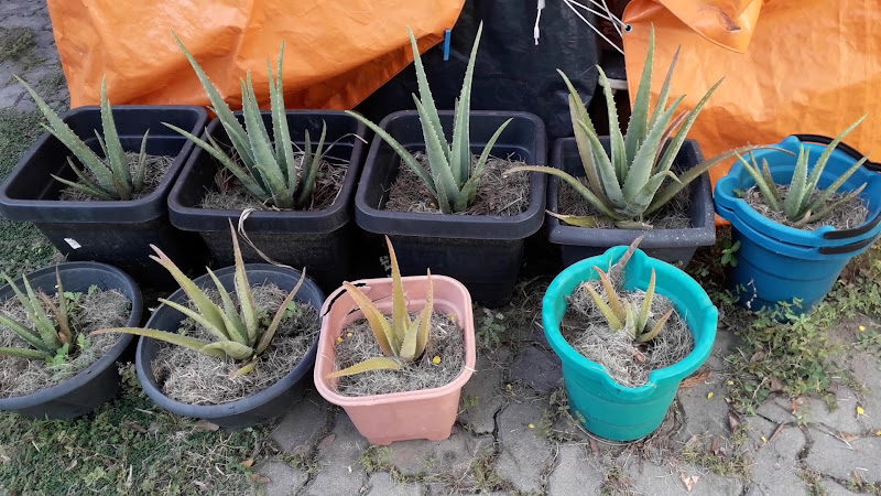 Foto 3 de Casa de Repouso & Centro Dia Aosora de Vitória