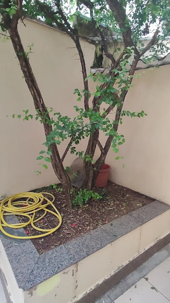Foto 3 de Casa de Repouso Viver Bem - Centro de Curta e Longa Permanência para Idosos