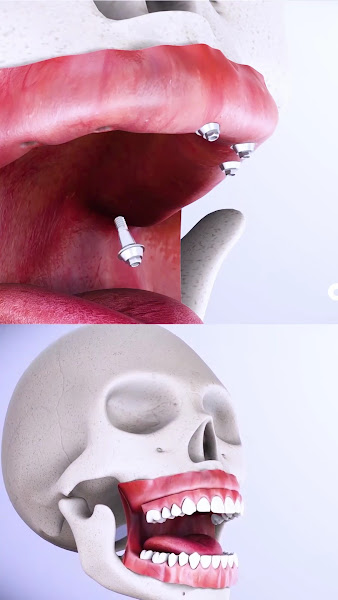 Foto 3 de Casa Tanuma Premium | Clinica Odontológica | 50 Anos de Sorrisos em Governador Valadares