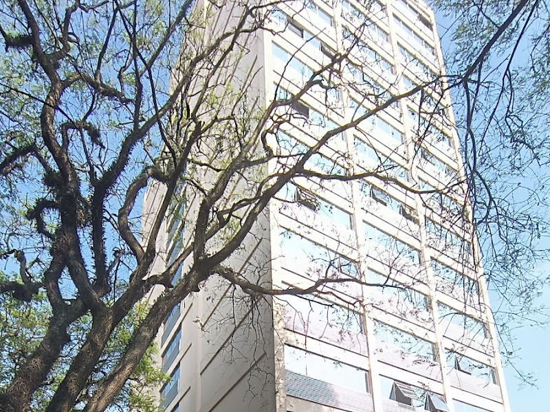 Foto 5 de Casadio Odontologia