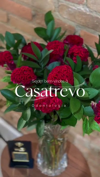 Foto 5 de Casatrevo Odontologia