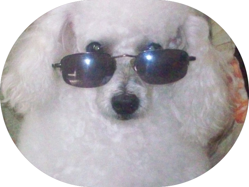 Foto 3 de CDMED - CENTRO MÉDICO DE DIAGNÓSTICO POR IMAGEM