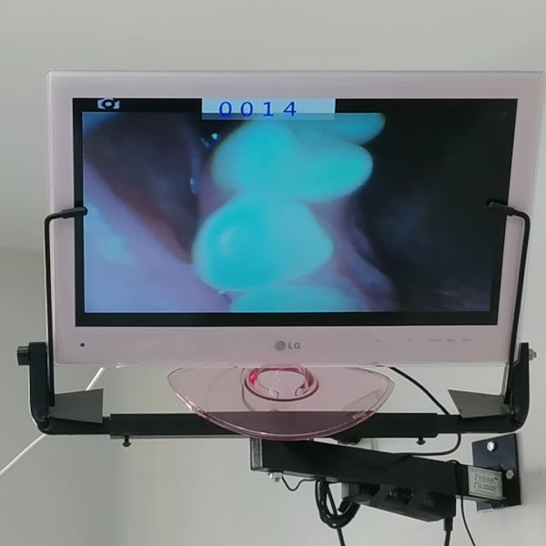 Foto 3 de CED Odonto | Odontologia e Estética | Dentista em Barbacena