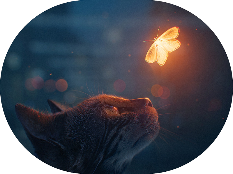 Foto 5 de Celebrity Odontologia