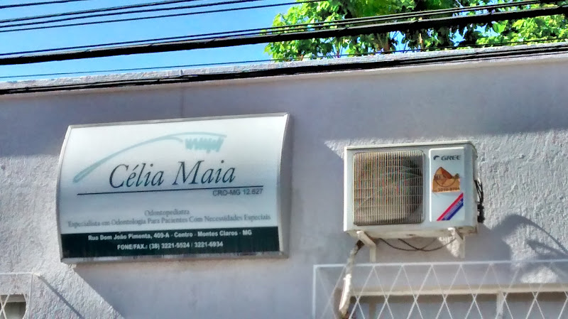 Foto 2 de Célia Maia