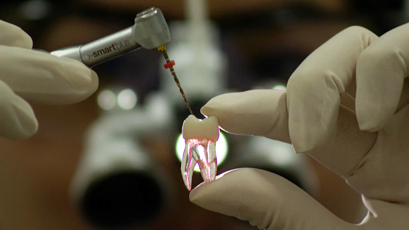 Foto 3 de Celina Lang Odontologia Especializada