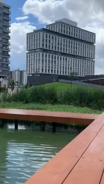 Foto 4 de Celina Lang Odontologia Especializada