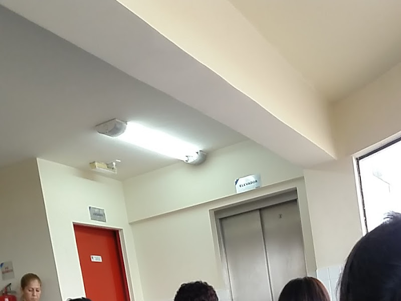 Foto 5 de CENO - Centro De Estudos Odontológicos