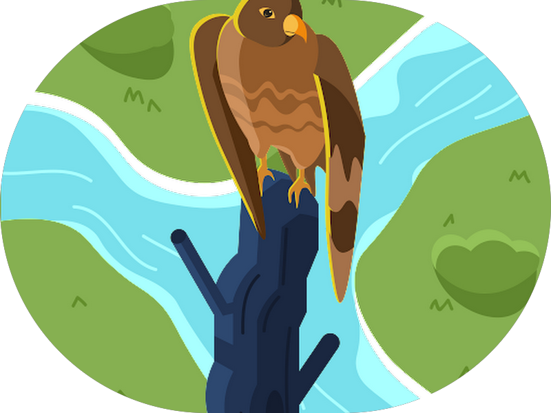 Foto 6 de CENTRO AVANÇADO DE ODONTOLOGIA E ESTÉTICA CORCOVADO