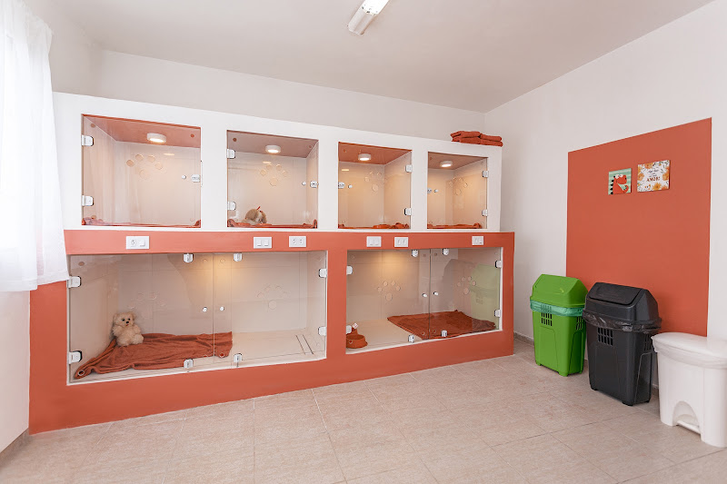 Foto 2 de Centro Clínico Vital PetCare