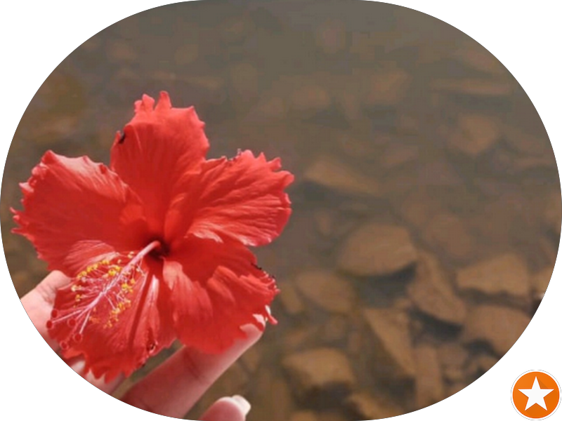 Foto 4 de Centro de Especialidade Odontológica (CEO)