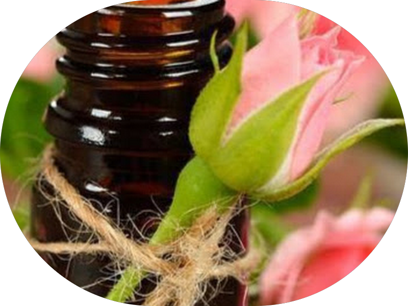 Foto 2 de Centro de Especialidades Odontológicas