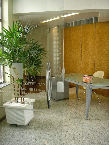 Foto 2 de Centro de Odontologia Estética e Cirurgia Oral Dra.Maria Elisa Amarante Botelho