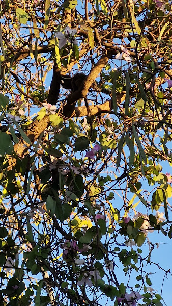 Foto 3 de Centro de Radiologia de Taguatinga