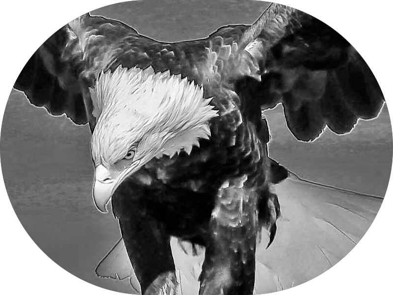 Foto 3 de Centro Diagnostico Seminário